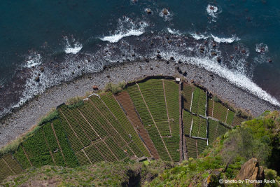 Steilküste - Cabo Girão, Madeira