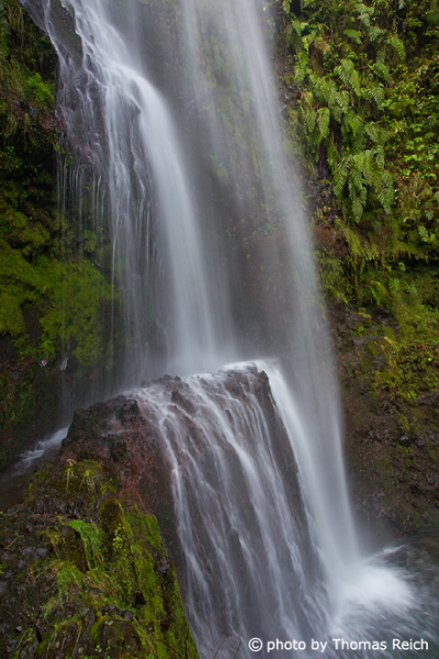 Caldeirão Verde waterfall, Madeira