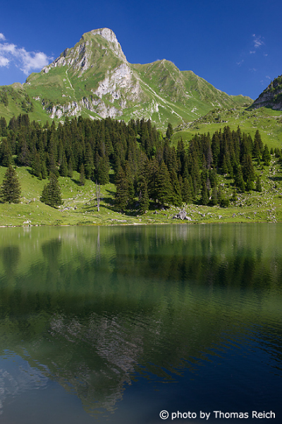 Gantrischsee mit Gantrisch im Sommer, Berner Oberland