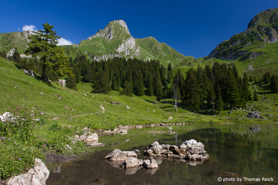 Gantrischseeli im Sommer, Berner Oberland