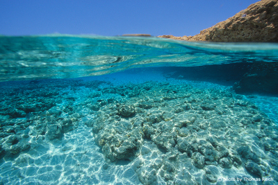 Snorkelling Coral garden in Egypt