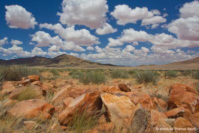Namib Rand Nature Reserve landscape