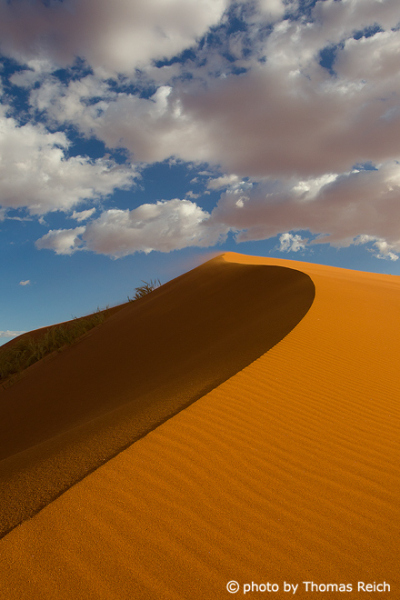 Red sand dunes near road D707, Tiras Mountains