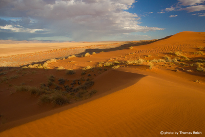 360 degree panoramic view dune landscape