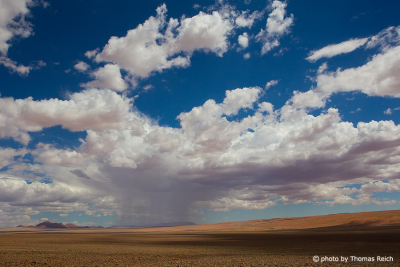 Desert Namib Rand Nature Reserve