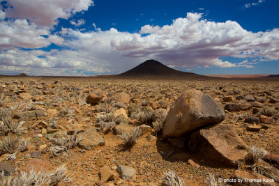 Landscape Namib Rand Nature Reserve