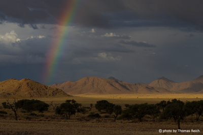 Regenzeit im Namib Naukluft Park
