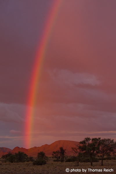 Regenbogen im Namib-Naukluft National Park