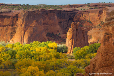 Canyon de Chelly with trees