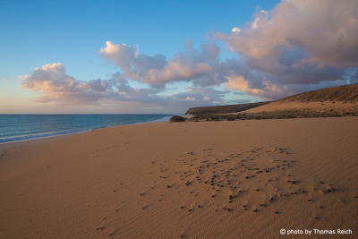 Playa del Salmo, Fuerteventura