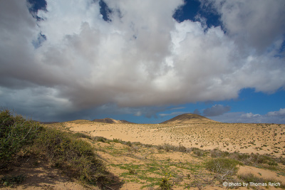 Risco del Paso Wüste Fuerteventura