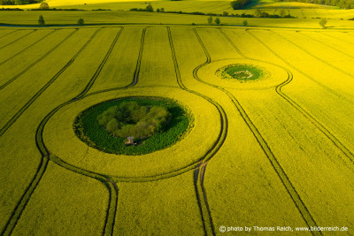 Rapeseed fields aerial shot