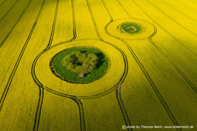 Rapeseed field from the air
