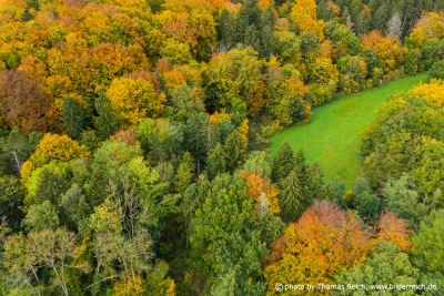 Waldlichtung Herbst Luftbild
