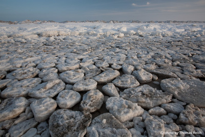 Ice floes North Sea coast on the island of Amrum