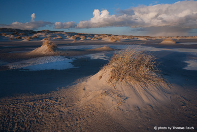 Dunes at Wittdün Amrum