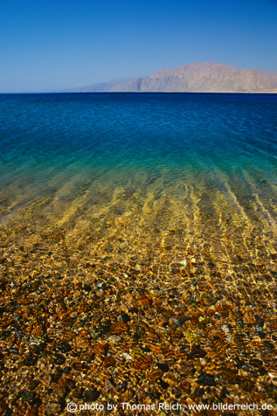Ras Abu Galum, coast of Sinai