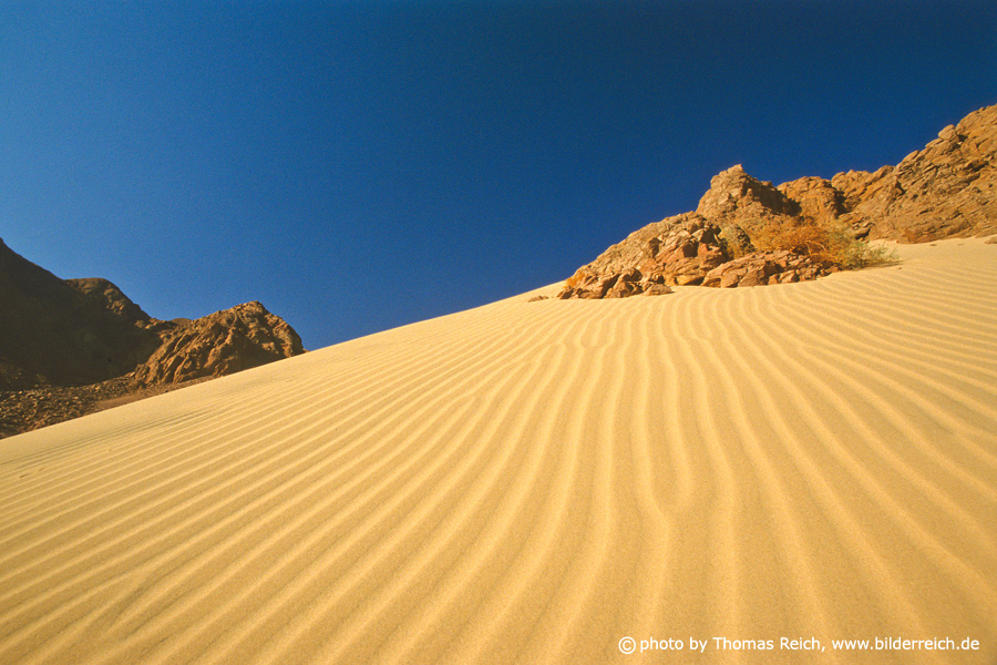 Sand Dünen Sinai Wüste