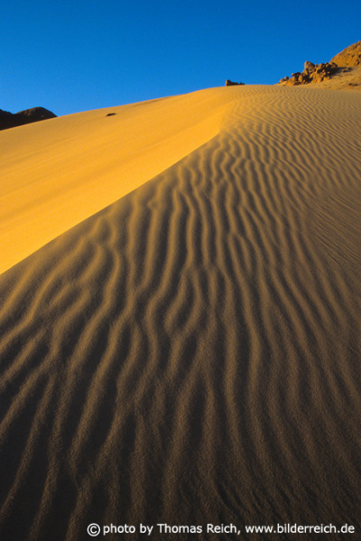 Dune in the desert, Sinai