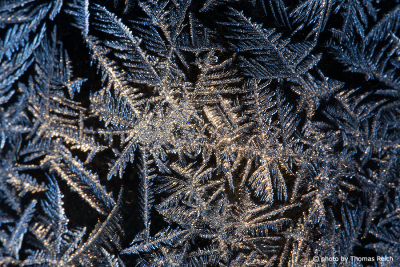 Ice crystals in winter