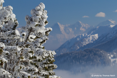 Winter Bernese Oberland Switzerland