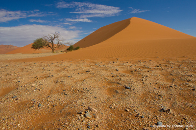 Sossusvlei Namib Naukluft