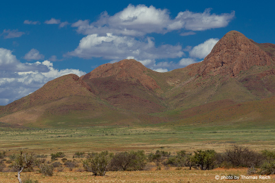 Fauna Namib Rand-Naturreservat