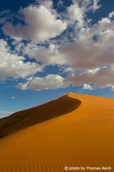 Big sand dune, Namib Naukluft Park