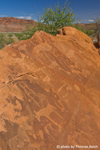 Namibia Rock carvings of animals at Twyfelfontein
