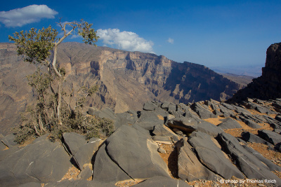 Jebel Shams Plateau, Oman