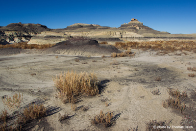 Landscape New Mexico images