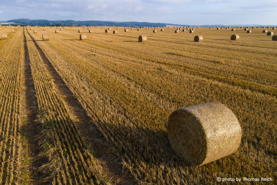 Round straw bales in Germany