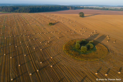 Straw Bales from a bird's eye view