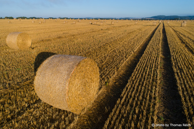 Round Straw Bales on the field