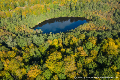 Einsamer Waldsee im Herbst Drohnenbild