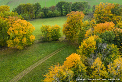 Herbst Farben Mecklenburgische Schweiz