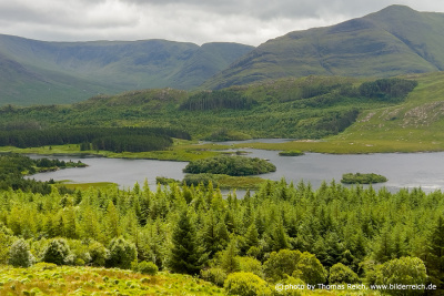 Wälder und Seen in Irland